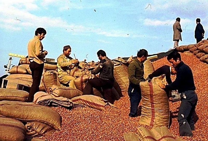 “Çiftçi Kayıt Sistemi” başvuru süresi uzatıldı! “Çiftçilik Belgesi” başvurusu nasıl yapılır?