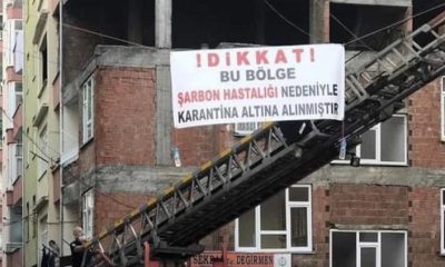 Yemişli Mahallesi Şarbon Vakası Nedeniyle Karantinaya Alındı…